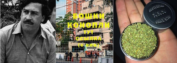 первитин Белоозёрский