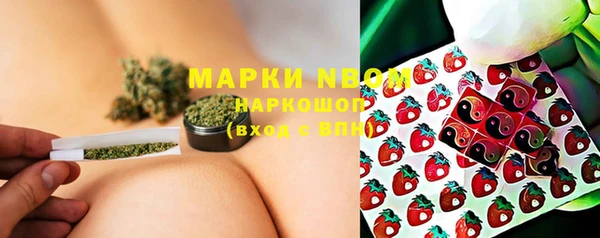 ешки Аркадак