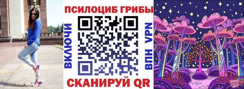 Купить где  Нижняя Тура  Псилоцибиновые грибы Psilocybe 